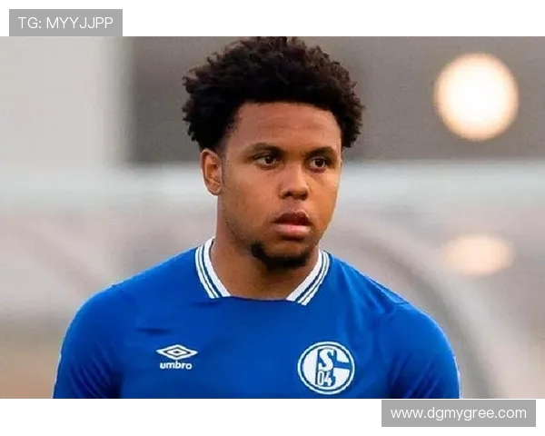 历年从德甲联赛降级的球队名单及原因分析