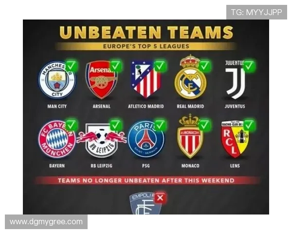 图文解说德甲各球队：助你轻松了解球队战力