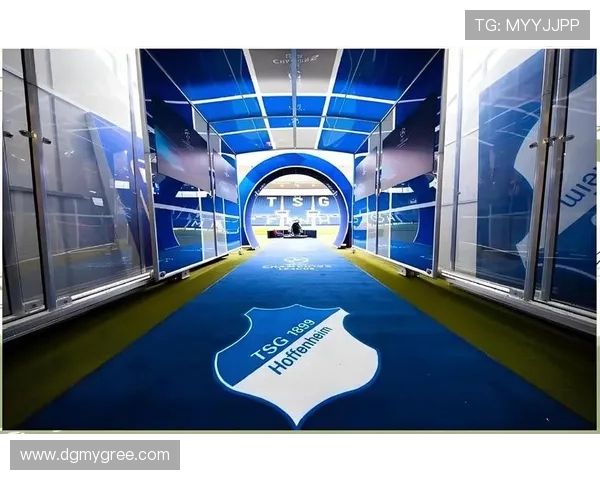 德甲球队场地介绍及主场设施高清图片展示